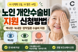 노인 개안수술비 지원 신청방법|백내장·녹내장·망막질환 수술비 지원 17 노인 개안수술비 지원 신청방법|백내장·녹내장·망막질환 수술비 지원