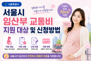 서울시 임산부 교통비 지원 신청 및 상세 정보 확인
